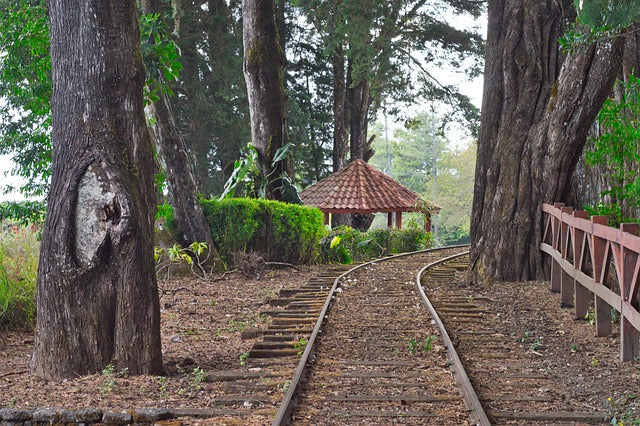 A small pavilion sits nestled in the shade behind some trees. A rail track covered with fallen leaves runs through the scene