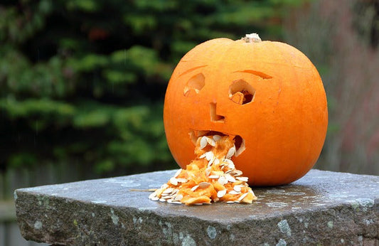 A pumpkin carved to look as if it's throwing up its innards. It sits on a concrete pedestal.