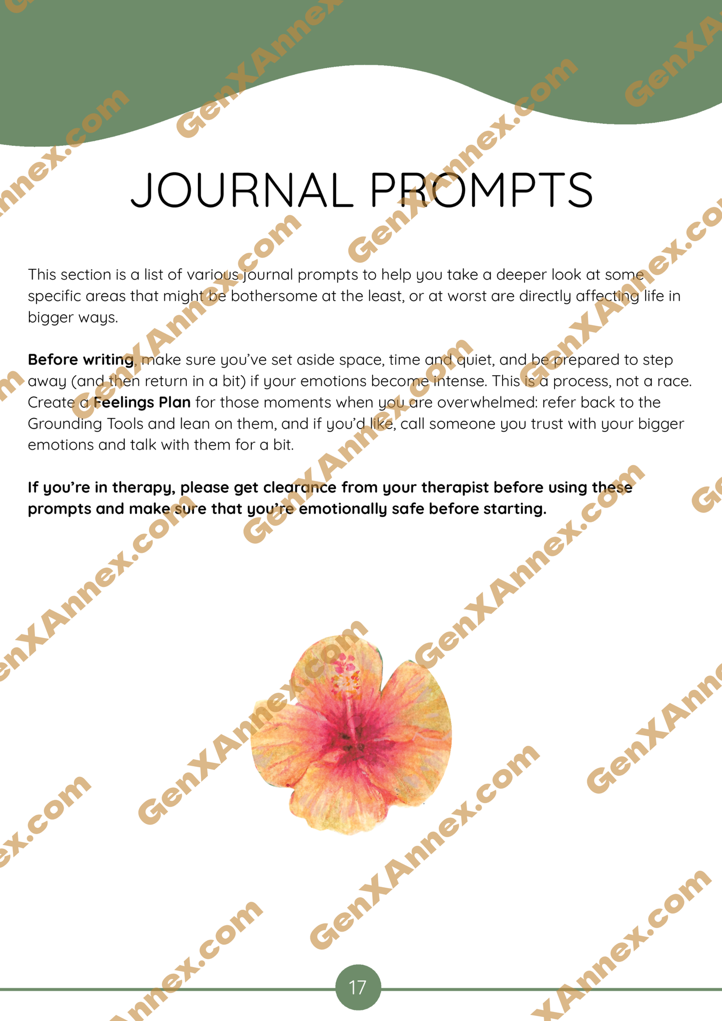 A watermarked copy of a page from The Growth Workbook, titled Journal Prompts. it contains a description of the sections of prompts to follow over the next few pages.